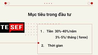 [Forex cơ bản] Nhà đầu tư mới cần những gì?