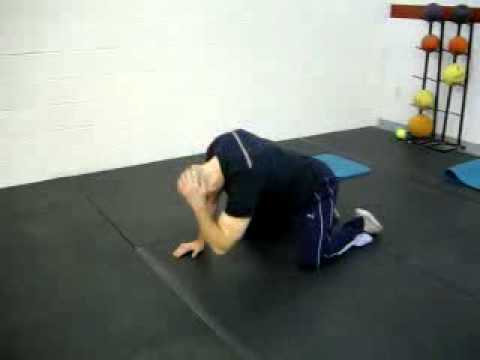 Quadruped Extension-Rotation training force