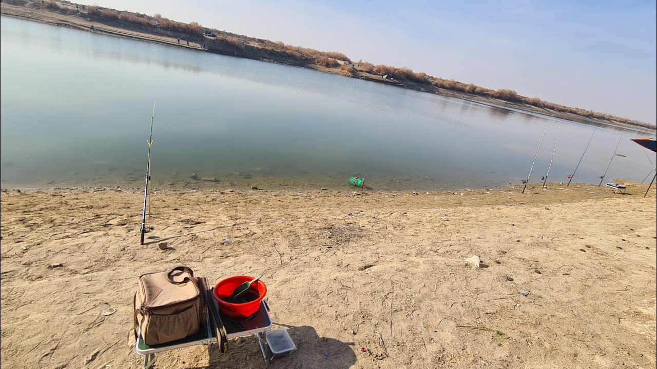 Сырдарья Слияние #фидер Лучшая Поклевка,  Много Эмоций, Большая Удовольствия