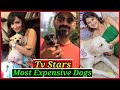 Expensive Pet Dogs of Indian TV Stars | Hina Khan, Ankita Lokhnade, Jennifer Winget, Rashmi Desai
