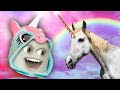 Annoying Orange Unicorn Supercut Annoying Orange Unicorn Supercut