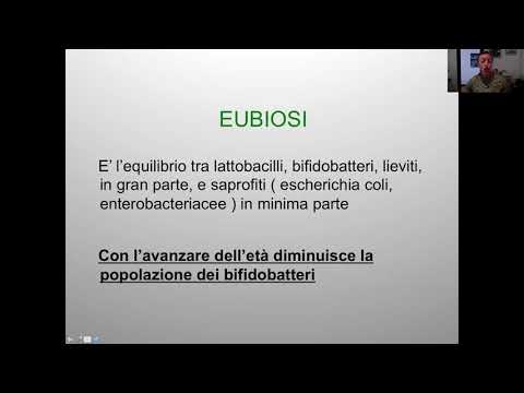 Video: Tossicità e avvelenamento da zinco nei cani