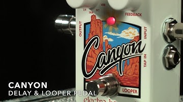 Electro Harmonix Canyon Delay & Looper Pedal | Gear4music demo