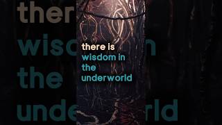 Modern culture often treats collapse as interruption.
