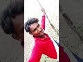मजा लूटा जाए रिमझिम पानी में #bhojpuri #शॉर्ट्स_वीडियो