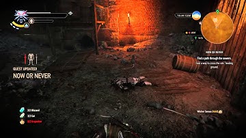 The Witcher 3: triss stuck