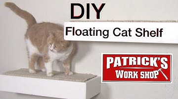 How To Make  Easy DIY Floating Cat Shelf