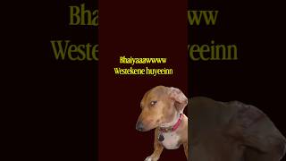 can i get a huyeeinnnw? ☺🥀 #editing #ytshorts#explorepage #meme#funny#fypシ゚viral#viralshort#growth