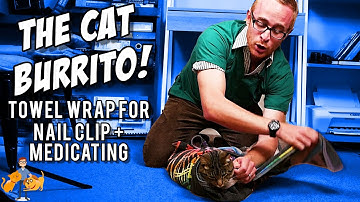 The Cat Burrito: Ninja Towel Wrap to Restrain Your Difficult Cat - Cat Health Vet Advice
