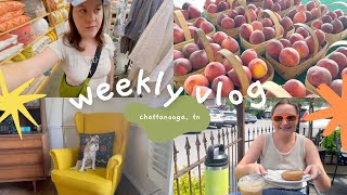 weekly vlog | coffee and antiques! by Stephanie Case 114 views 11 months ago 8 minutes, 16 seconds