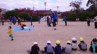 プリモ保育園 2017-11-12 運動会 [07] りす・ひよこ 親子競技
