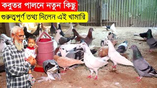 কবুতর পালনে নতুন কিছু খুবই গুরুত্বপূর্ণ অসাধারণ তথ্যের কথা জানালেন এই খামারি | BD Pigeon Farms.