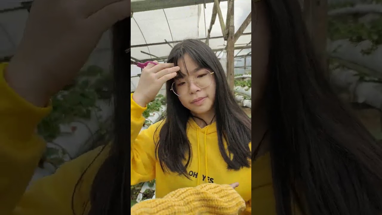 Raju's Hill Strawberry Farm🍓