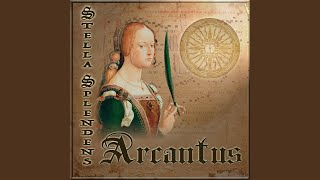 Stella Splendens