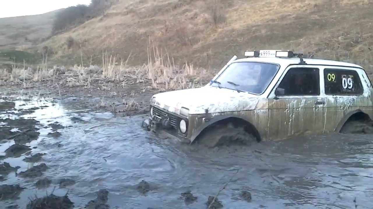 Нива на белках
