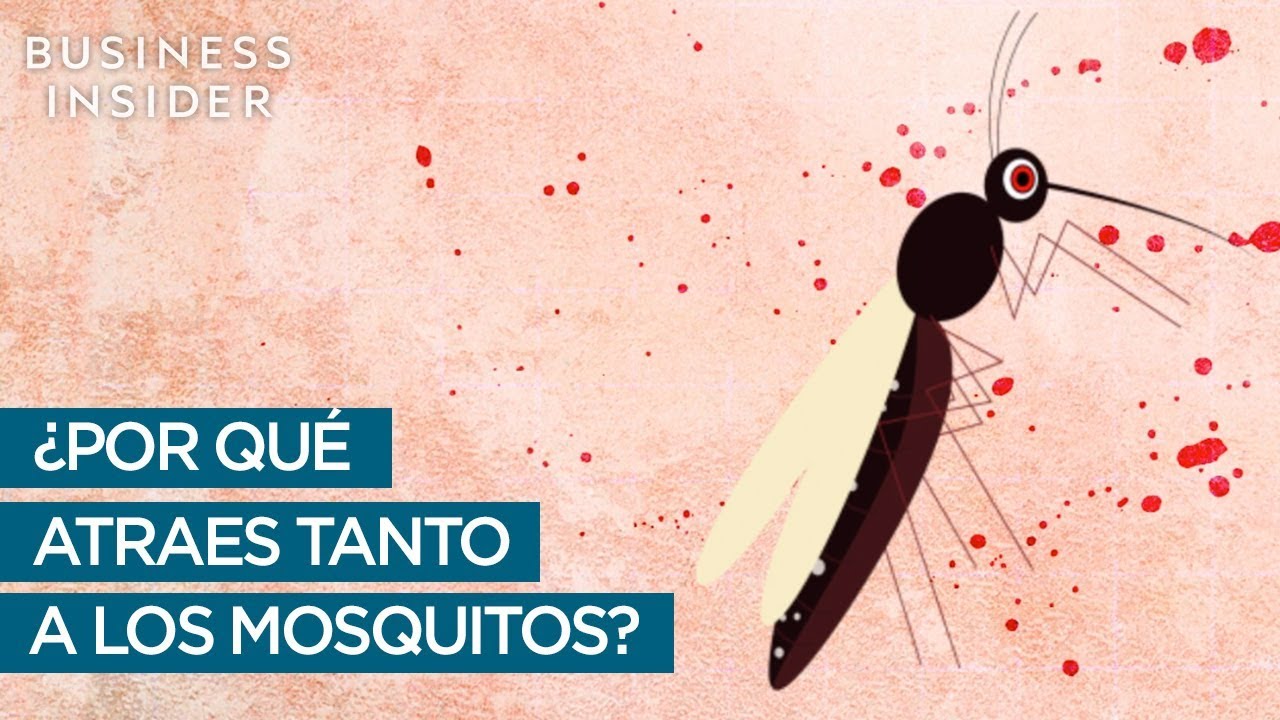 Como hacer para que no te piquen los mosquitos