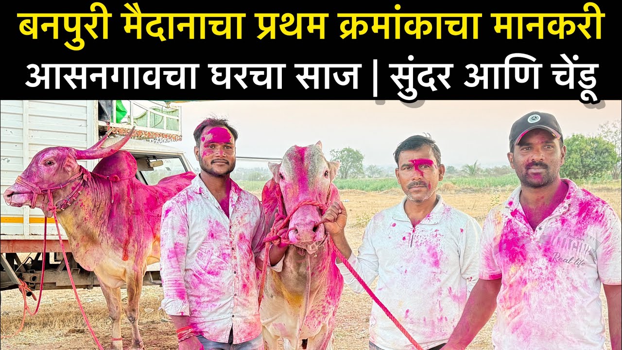 बनपुरी मैदानाचा प्रथम क्रमांकाचा मानकरी | आसनगावचा घरचा साज | सुंदर आणि चेंडू 