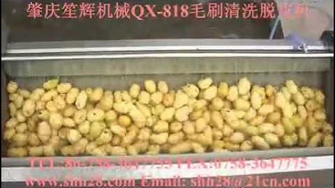 máy rửa khoai lang tự động, máy rửa củ cà rốt, máy trà vỏ khoai