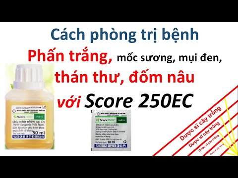 Video Bạn đã hiểu hết về Score 250EC chưa? | Dược sĩ cây... - youtube