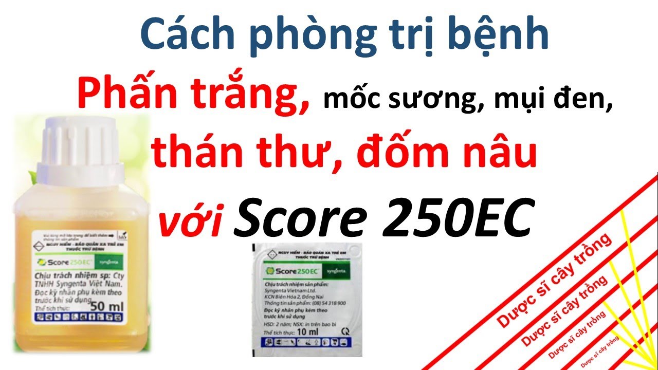 Bạn đã hiểu hết về Score 250EC chưa? | Dược sĩ cây trồng