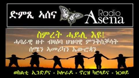 Voice of Assenna: Panel Discussion Re the Bottom-Up Grassroots Movements for Change -- Part 2