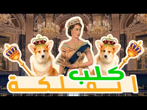 فصيلة كلاب عشقتها ملكة بريطانيا إليزابيث الثانية كوكب أخضر