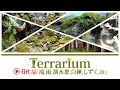 【テラリウム短編集】6作品全てまとめました