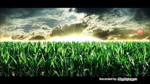 محمد صلاح نافع سورة القدر كامله