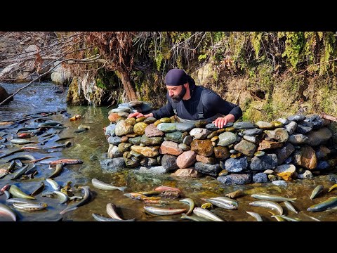 Fishing With Extraordinary Techniques / Fishing With Primitive Methods /  Her Gün 30 kg Balık