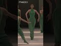 Maurice Béjart: M (Mishima) - The Tokyo Ballet