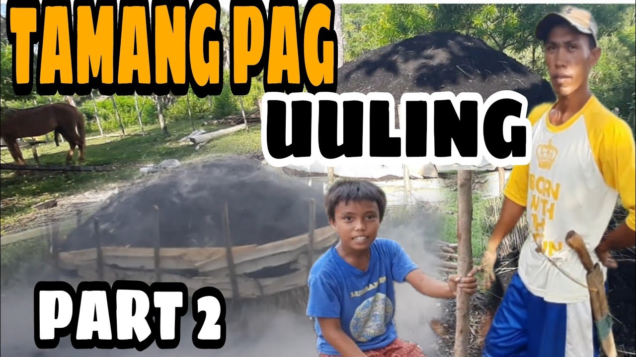 dilikado pala ang pag uuling | bakit?