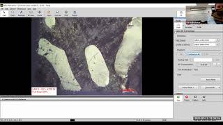Lab 5 Felsic Igneous Rocks Thin Section Net Worth