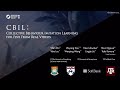 CBIL : Collective Behavior Imitation Learning for Fish from Real Videos