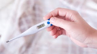 5 Best Thermometers of 2022 for Home Use Best Thermometer Daniel Humm