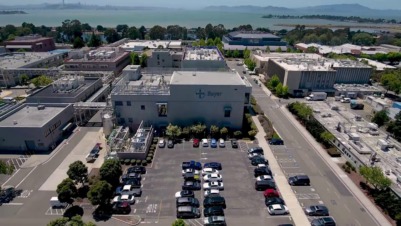 Visitor Site Safety Video Bayer Berkeley Youtube