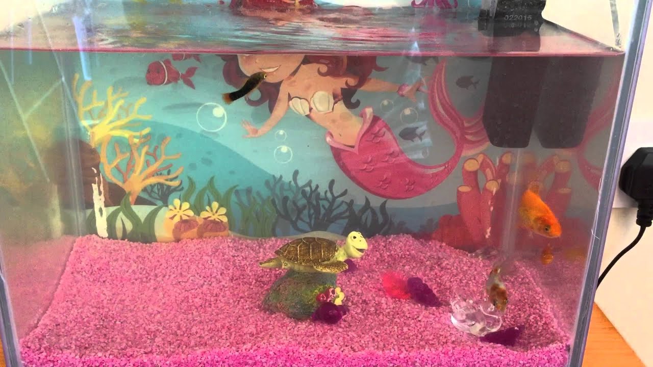 Cold water kids fish tank - YouTube