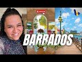 Birt.ay fun in barbados part 2 by vanessa starnino