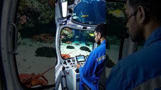 driving under the sea and catch crab #underwater