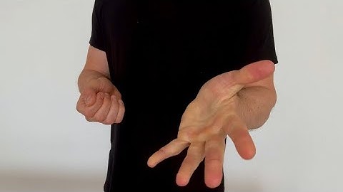 Magic Exposed | Ball of Yarn to Impossible Location 🧶🐱