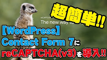 超簡単!!｜ WordPressのプラグイン「Contact Form 7」にreCAPTCHA(v3)を導入する方法【ハイズLabo】
