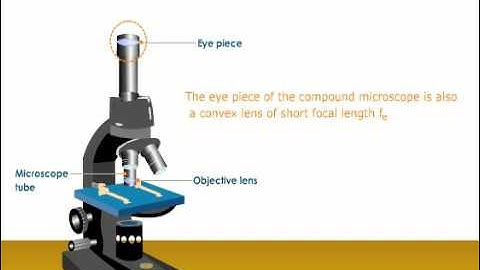 A Brief Look at How a Compound Microscope Works