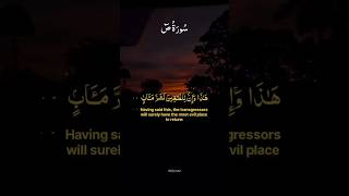Surah Sad (38:55-38:60) | | #قرآن #quran #fyp #fypシ #fy #islamicshorts #shorts #yasseraldossary