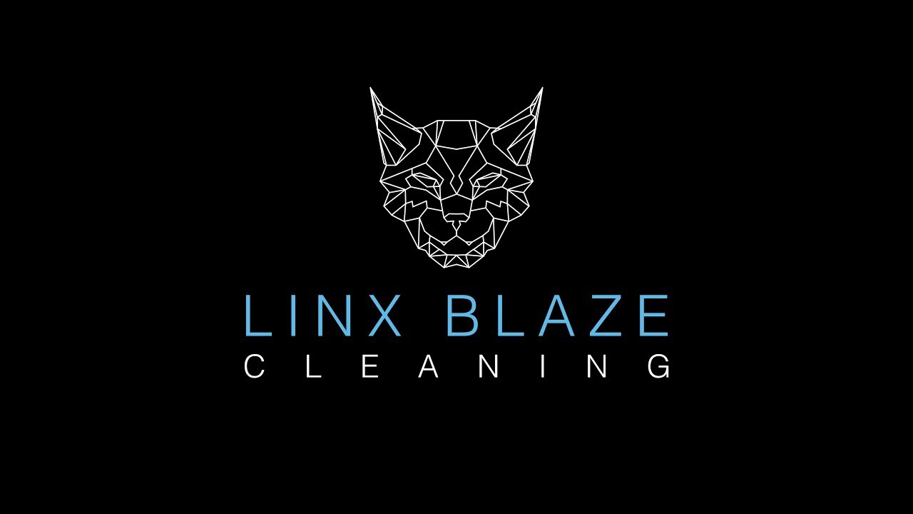 Linx Blaze Cleaning Instructions