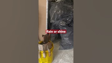 Garage Clean Out Of Construction Debris-Junk Removal  #junkremoval