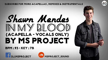 Shawn Mendes - In My Blood (Acapella - Vocals Only)