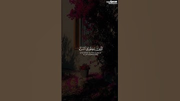 وَسَارِعُوا إِلَى مَغْفِرَةٍ | الشيخ ياسر الدوسري | سورة القمر #قرآن #ياسر_الدوسري