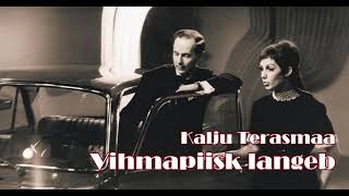 Video voorbeeld van "Kalju Terasmaa - Vihmapiisk langeb"