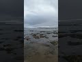 The Beautiful sound of ocean waves is very calming #oceanwavessounds#sound #trending #shorts