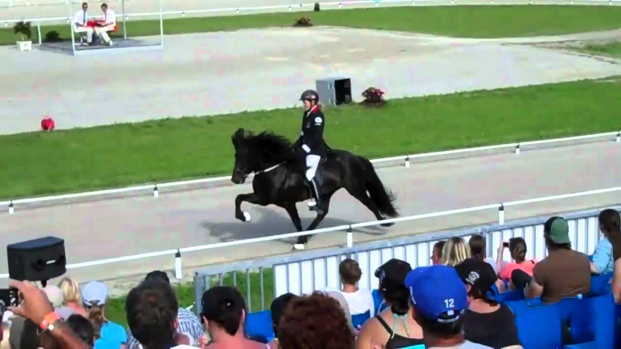 WM 2011 T2 B-Finale Steffi Kleis auf Darri v. Lipperthof