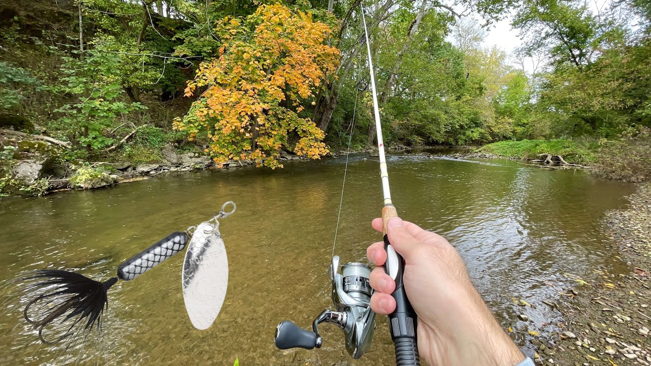 TROUT Fishing with Rooster Tail Spinners 